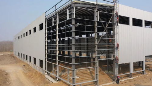 優質服務助推工業強鎮發展，招大引強積蓄新動能