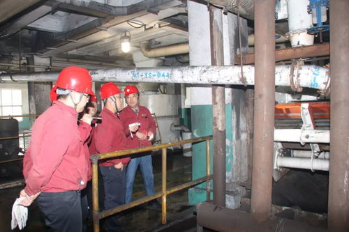 馬頭洗選廠提前完成全年生產任務，技術推廣助力高效發展