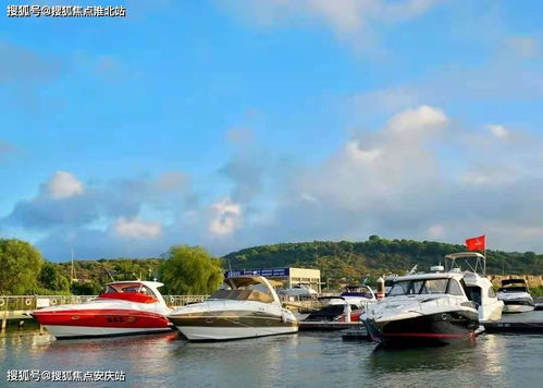 蘇州金庭復園 全景瞰湖美宅，致獻詩意棲居